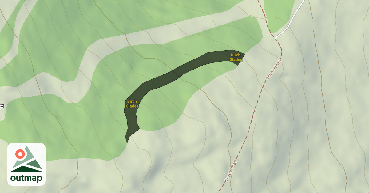Map of Birch Glades