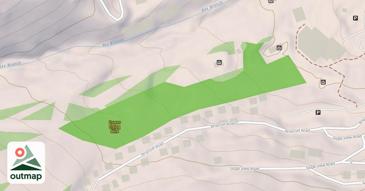 Map of Lower Flying Mile