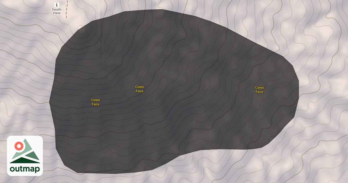 Map of Cows Face