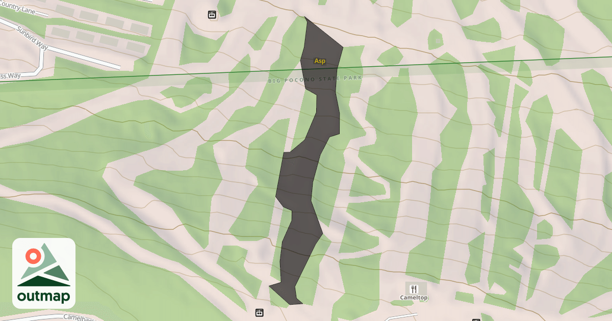 Map of Asp
