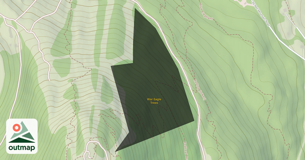 Map of War Eagle Trees