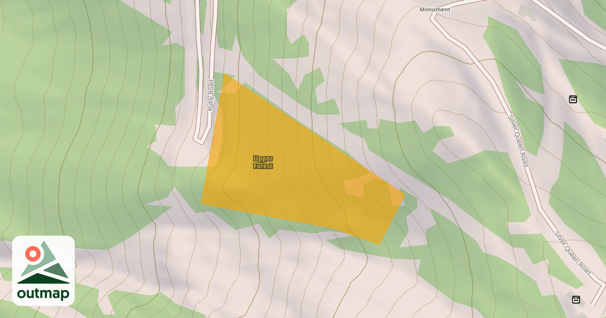 Map of Upper Forest