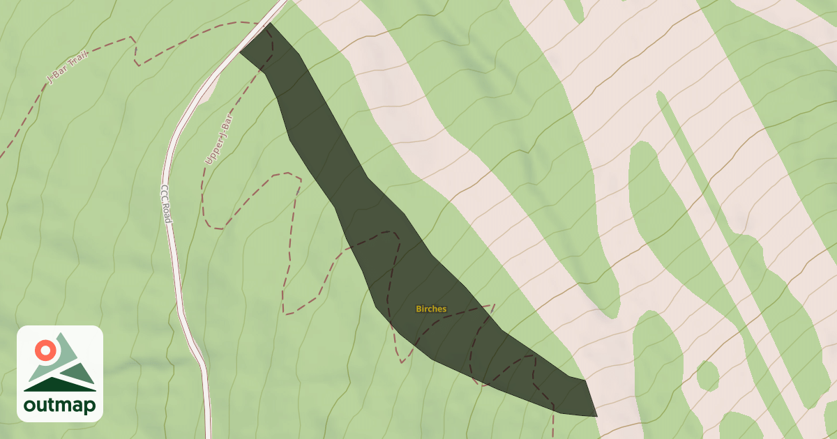 Map of Birches