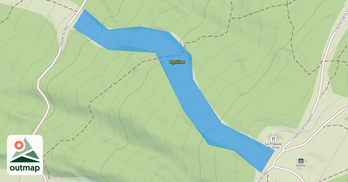 Map of Myrtilles