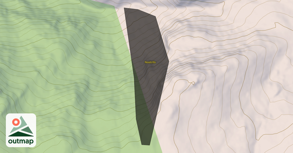 Map of Nostrils