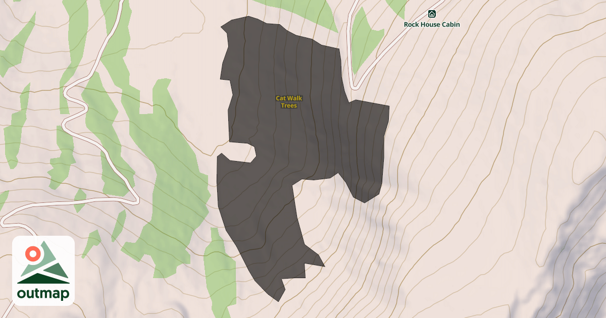 Map of Cat Walk Trees