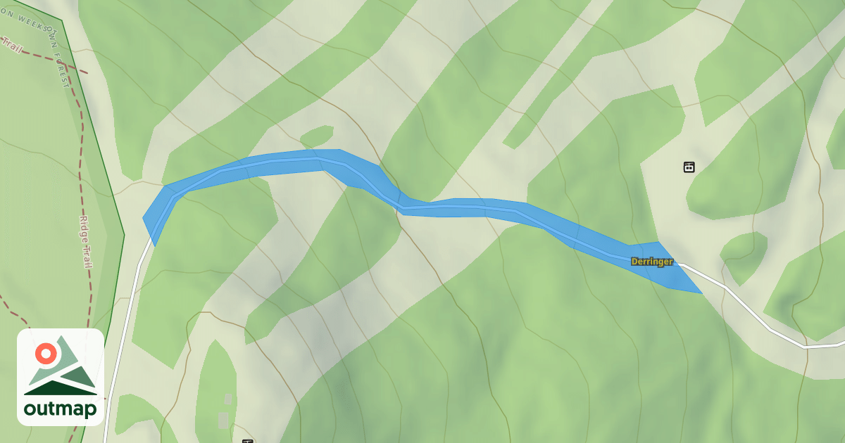 Map of Derringer