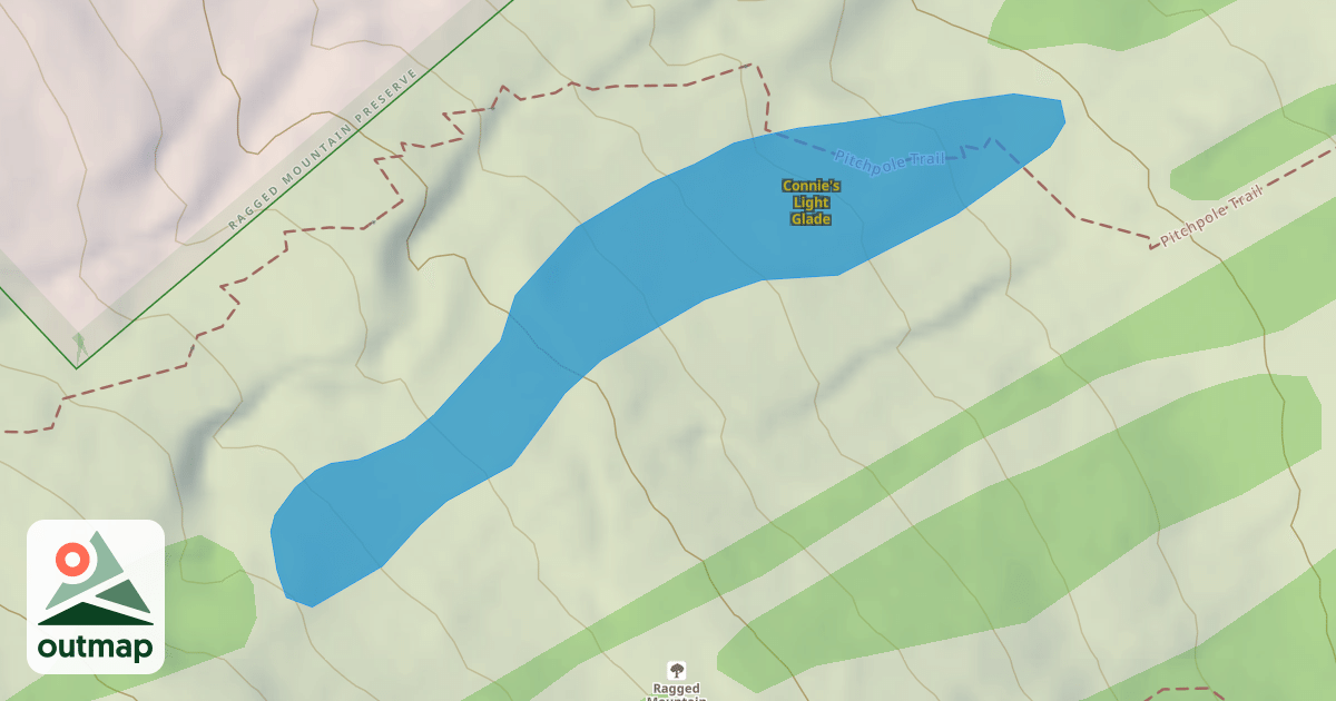 Map of Connie's Light Glade