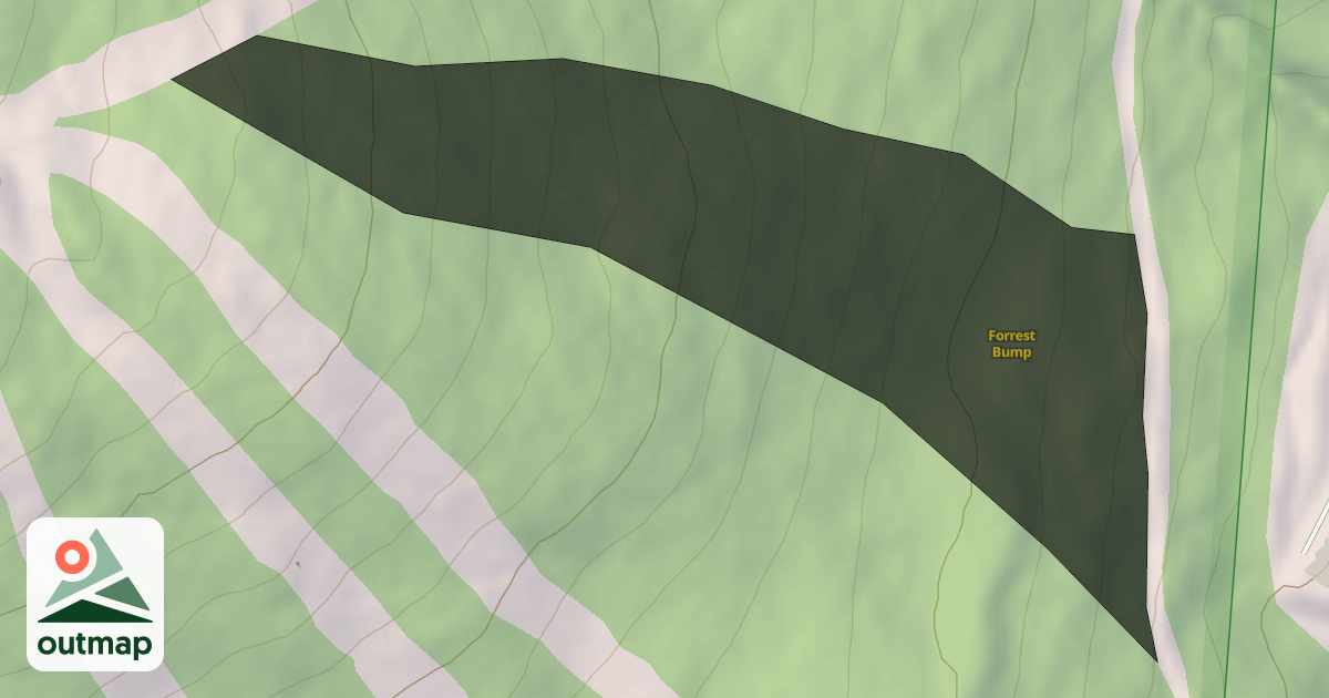 Map of Forrest Bump