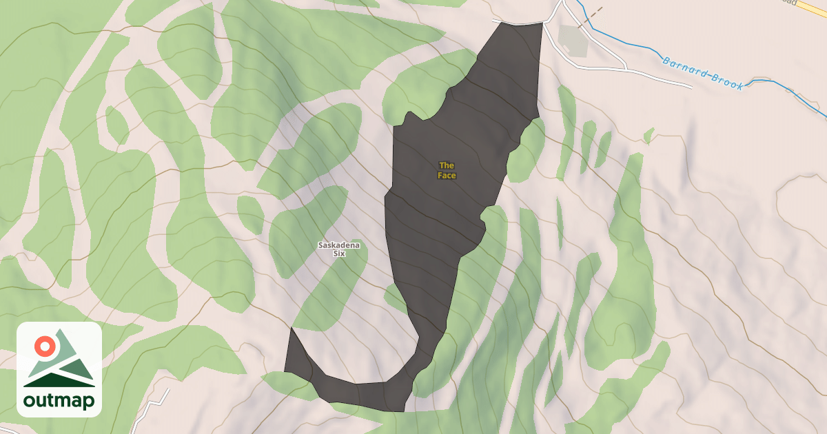 Map of The Face