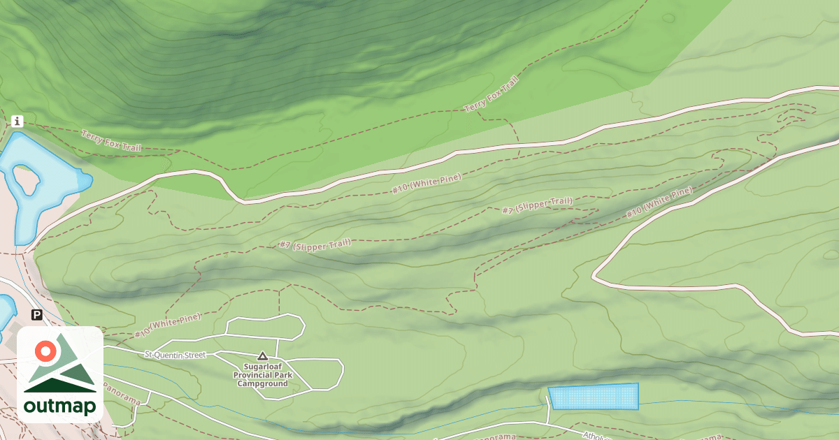 Map of #10 (White Pine)