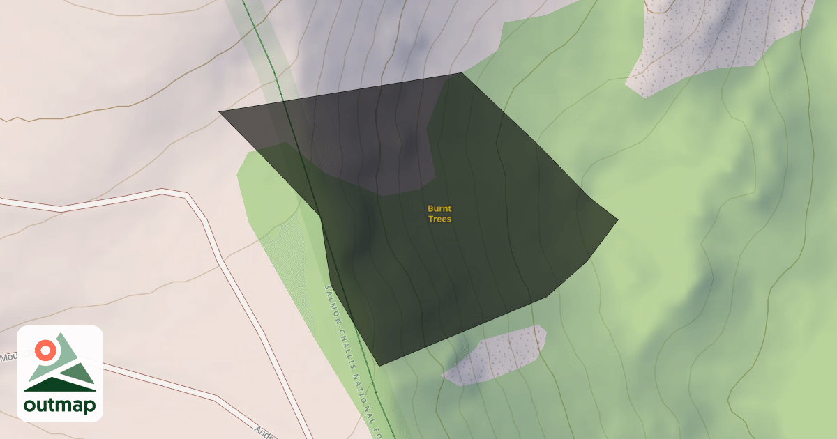 Map of Burnt Trees