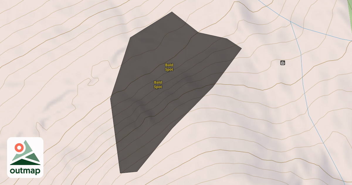 Map of Bald Spot