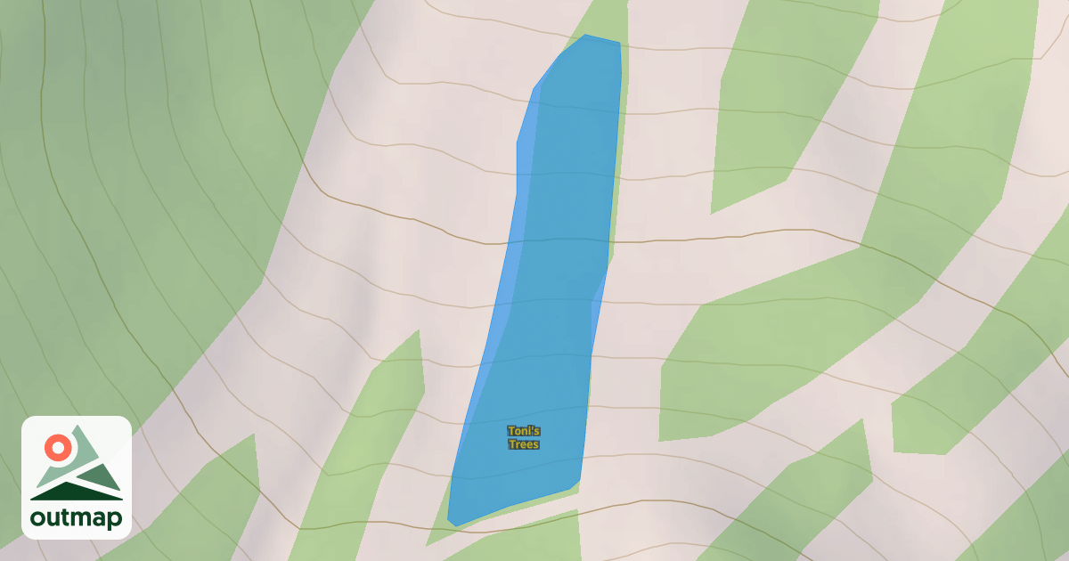 Map of Toni's Trees