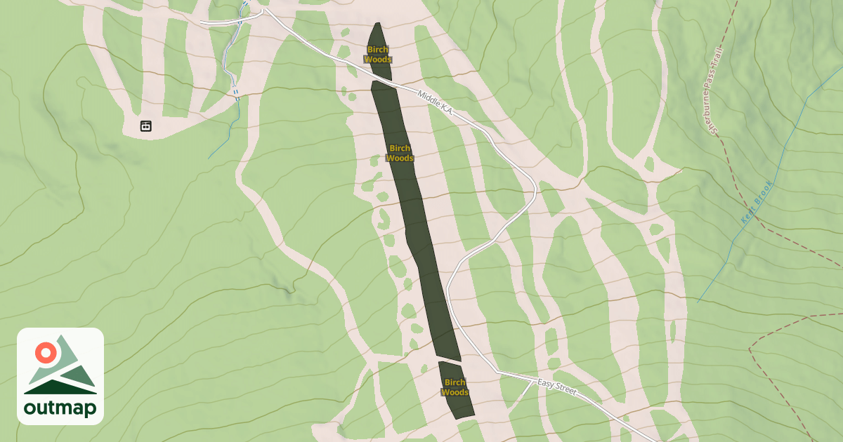 Map of Birch Woods