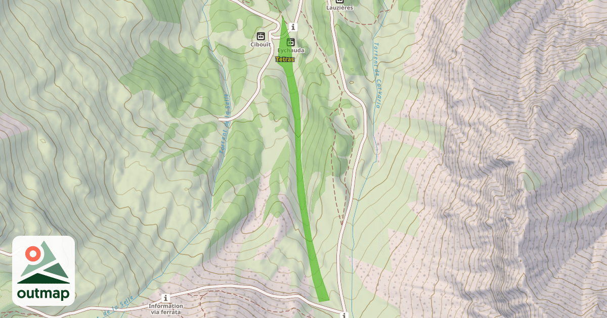 Map of Tetras