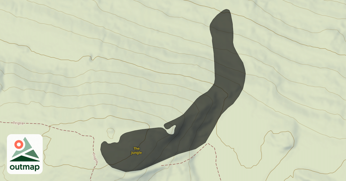 Map of The Jungle