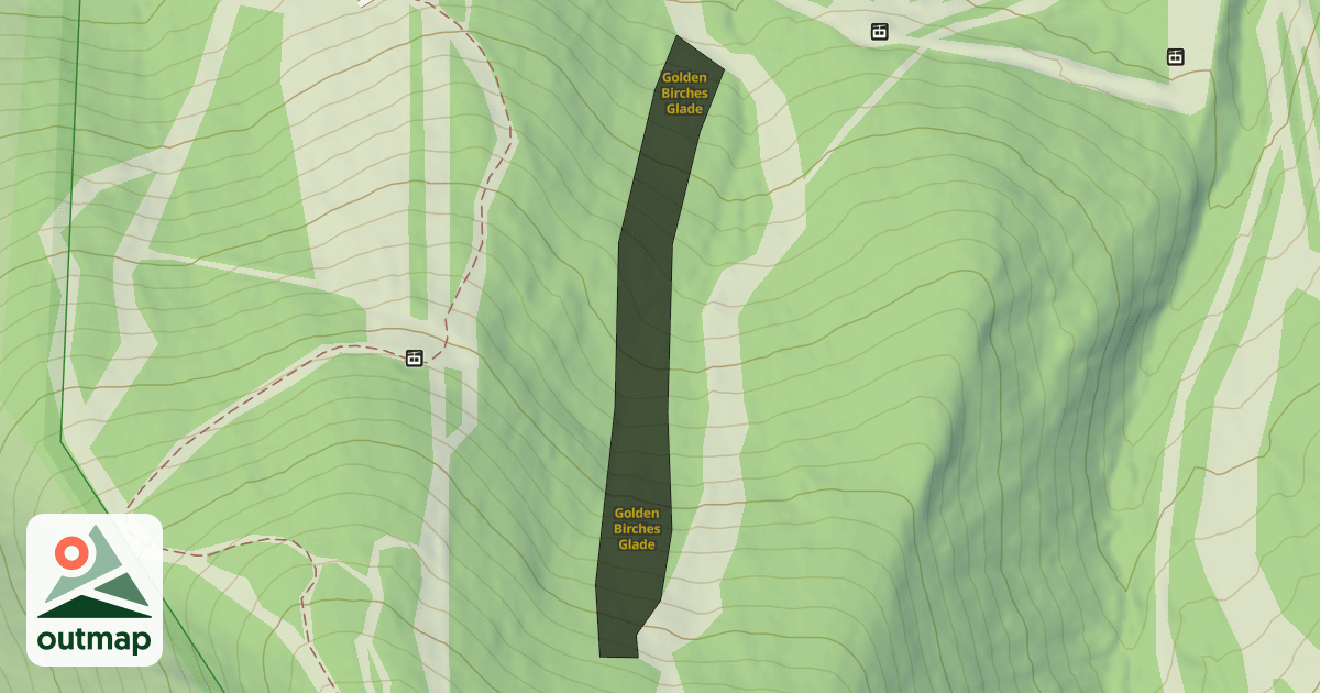 Map of Golden Birches Glade