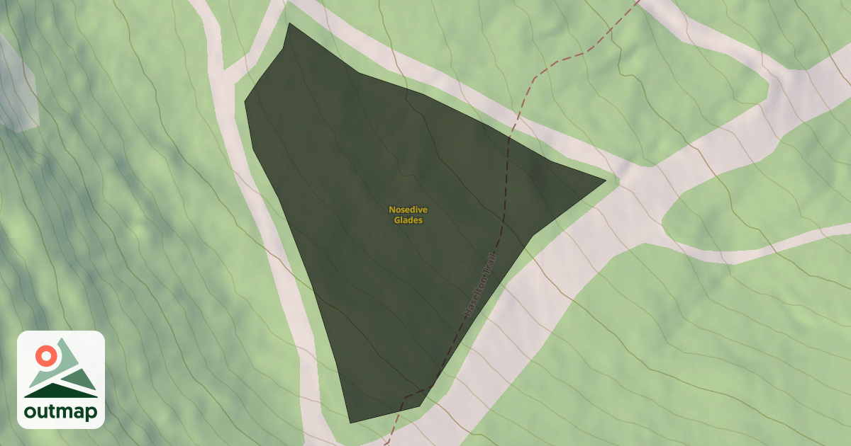 Map of Nosedive Glades