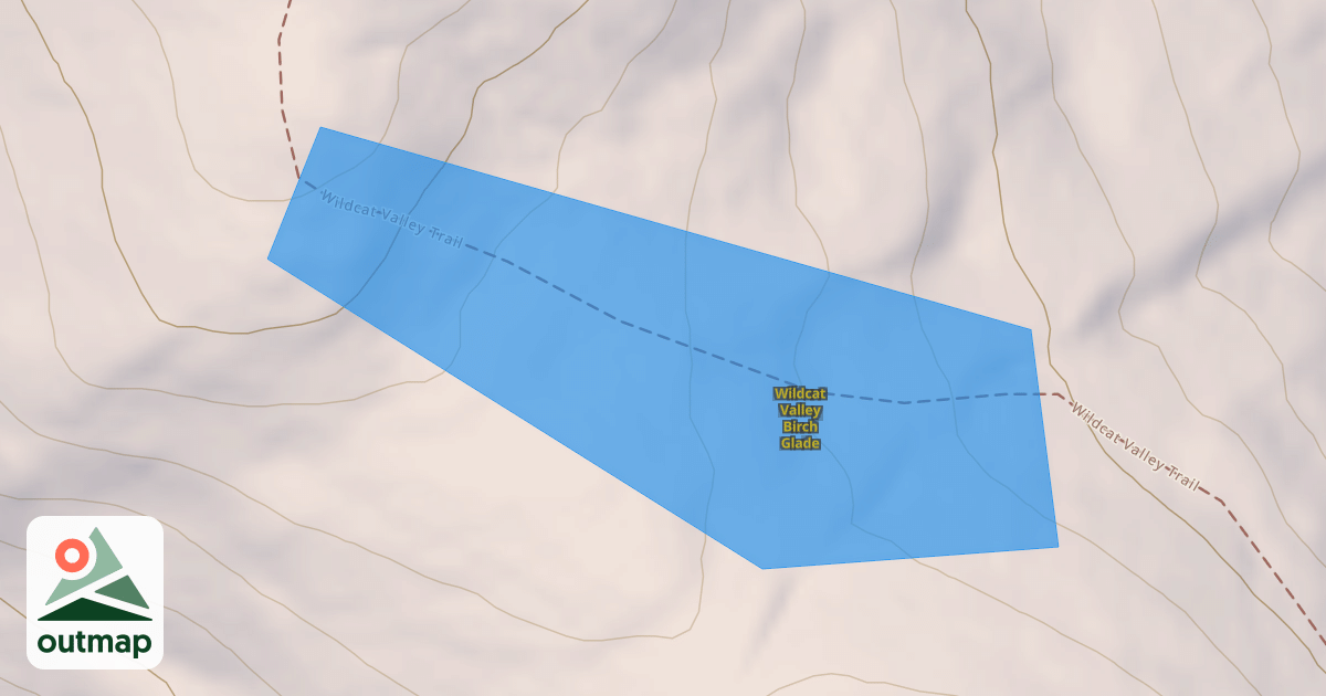 Map of Wildcat Valley Birch Glade