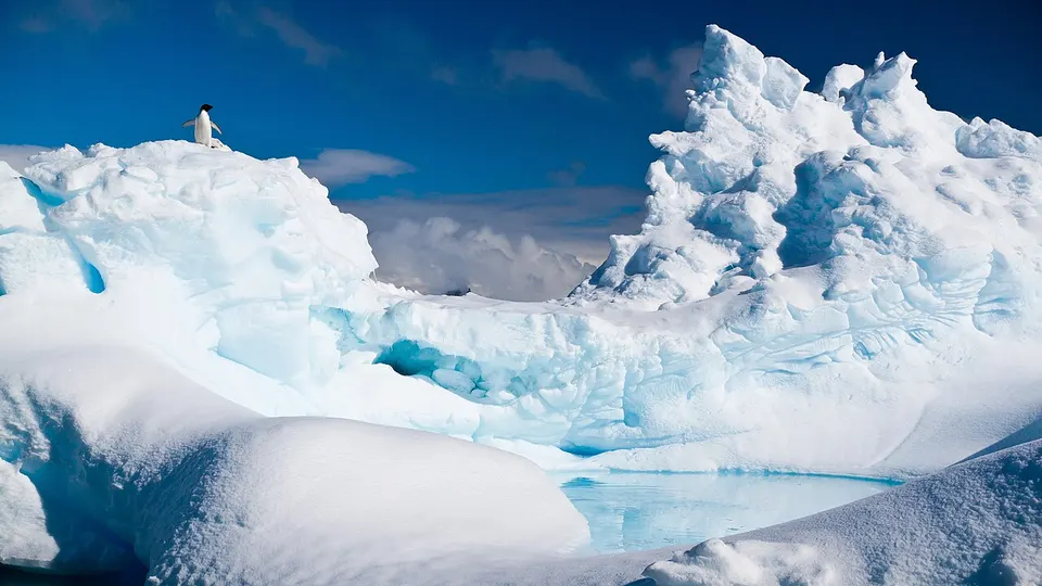 Antarctica — Adelie penguin on an iceberg near the Antarctic Peninsula