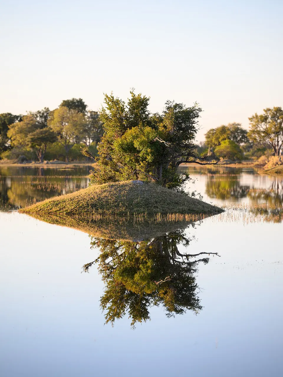 Botswana — Reflected Island - Okavango Delta