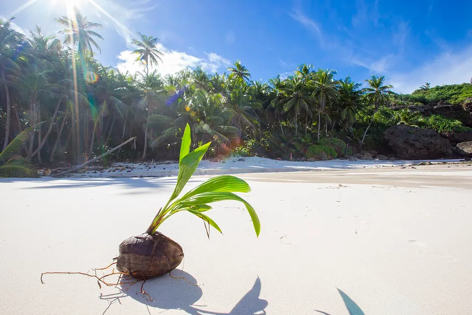 Christmas Island — Dolly Beach, Christmas Island