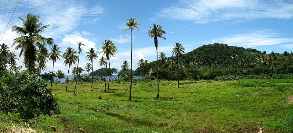 Dominica — Dominica Panorama 5
