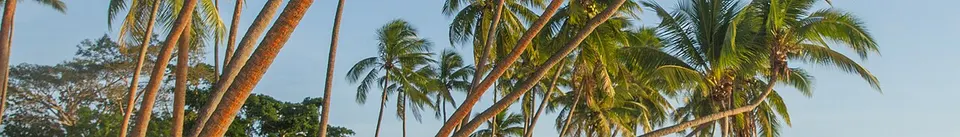 Fiji — Fiji banner Shangri-La Fijian Resort