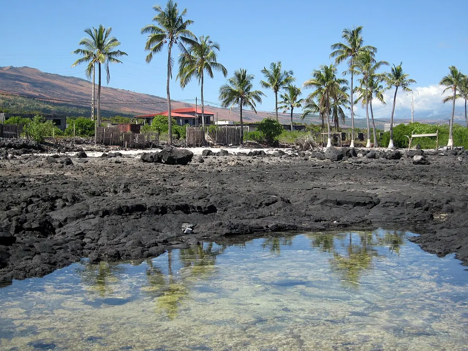Comoros — Palmiers-Grande Comore