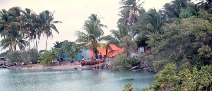Marshall Islands — Lagoon side with native dwellings - Majuro