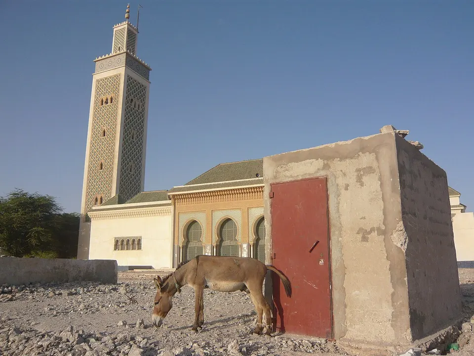 Mauritania — St Louis and Mauritania 011