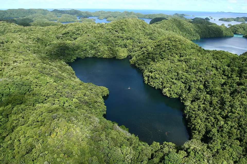 Palau — Jellyfish Lake aerial (March 2008)