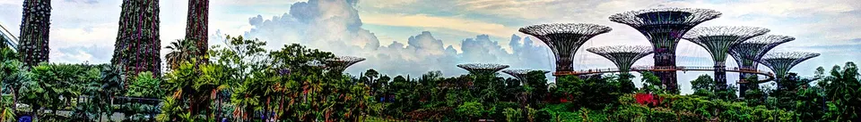 Singapore — Supertree Grove, Gardens by the Bay, Singapore - 20120704 (banner)