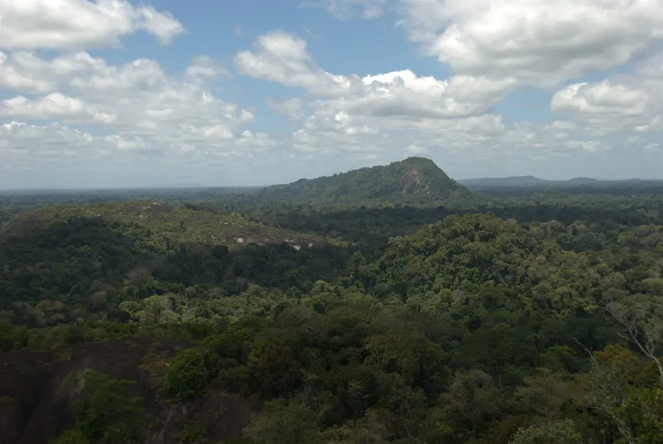 Suriname — Mt.VoltzbergSuriname