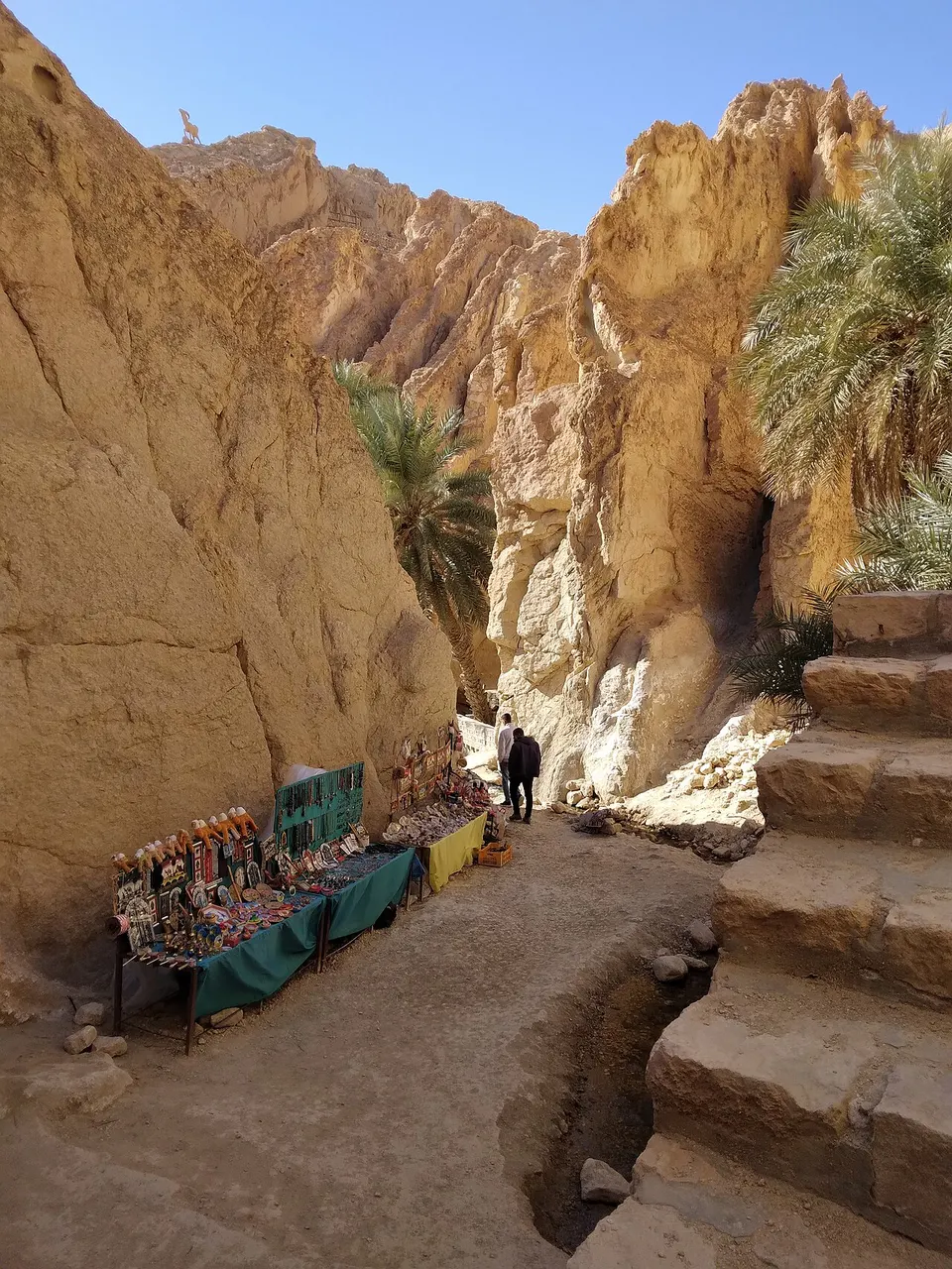 Tunisia — Chebika Oasis Tunisia 1