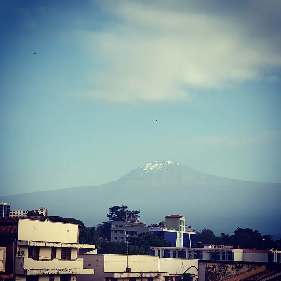 Tanzania — Mount Kilimanjaro from Moshi