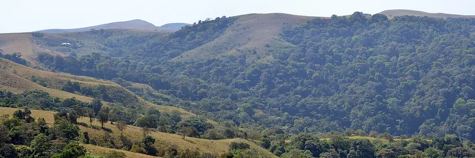 Nigeria, Taraba State, Mambilla Plateau, Ngel Nyaki Forest Reserve, 2012 — Taraba, Nigeria