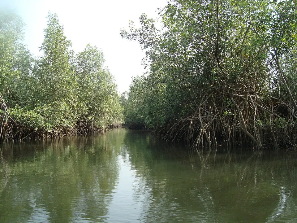 Port Loko River - Feb 2011 - panoramio — Western Area, Sierra Leone