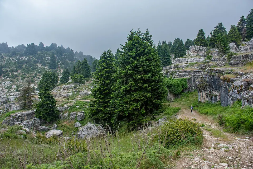 ACS 4726 04 — Aakkâr, Lebanon