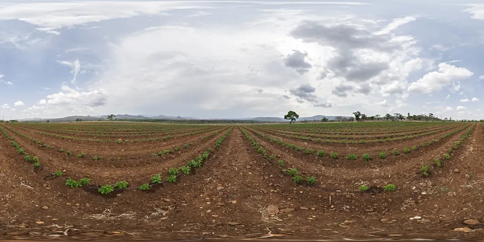 Farm field - Panorama (Dimitrios Savva and Jarod Guest via Poly Haven) — Kweneng District, Botswana