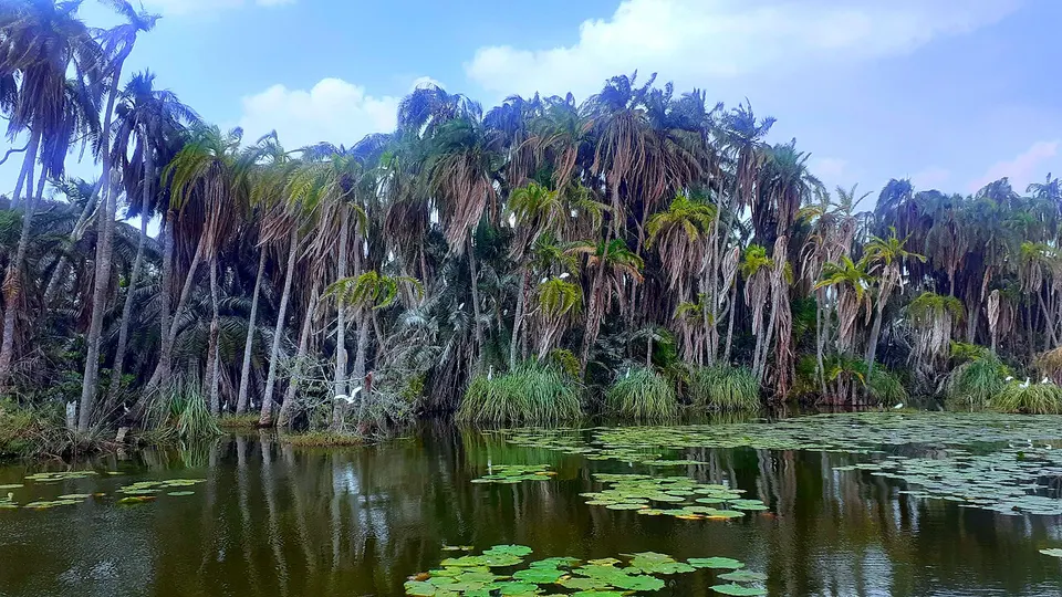 Paysage naturel au Lac des Oiseaux — Kirundo, Burundi