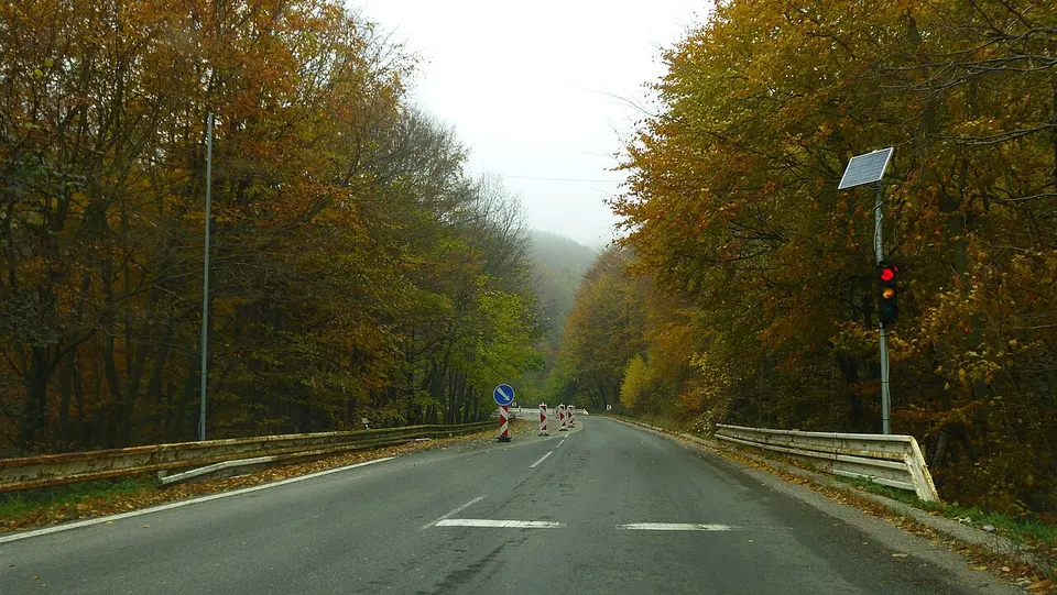 NESKUTOČNÉ SEMAFORY V LESE - panoramio — Region of Bratislava, Slovakia