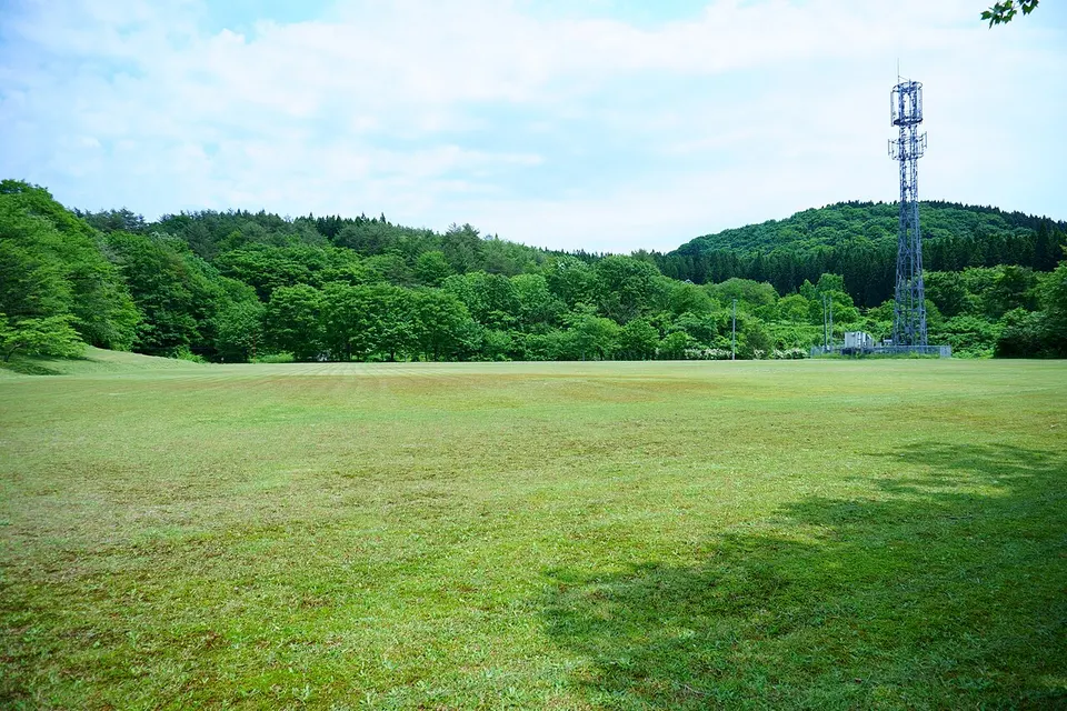 Open fields beside woodland — Akita, Japan