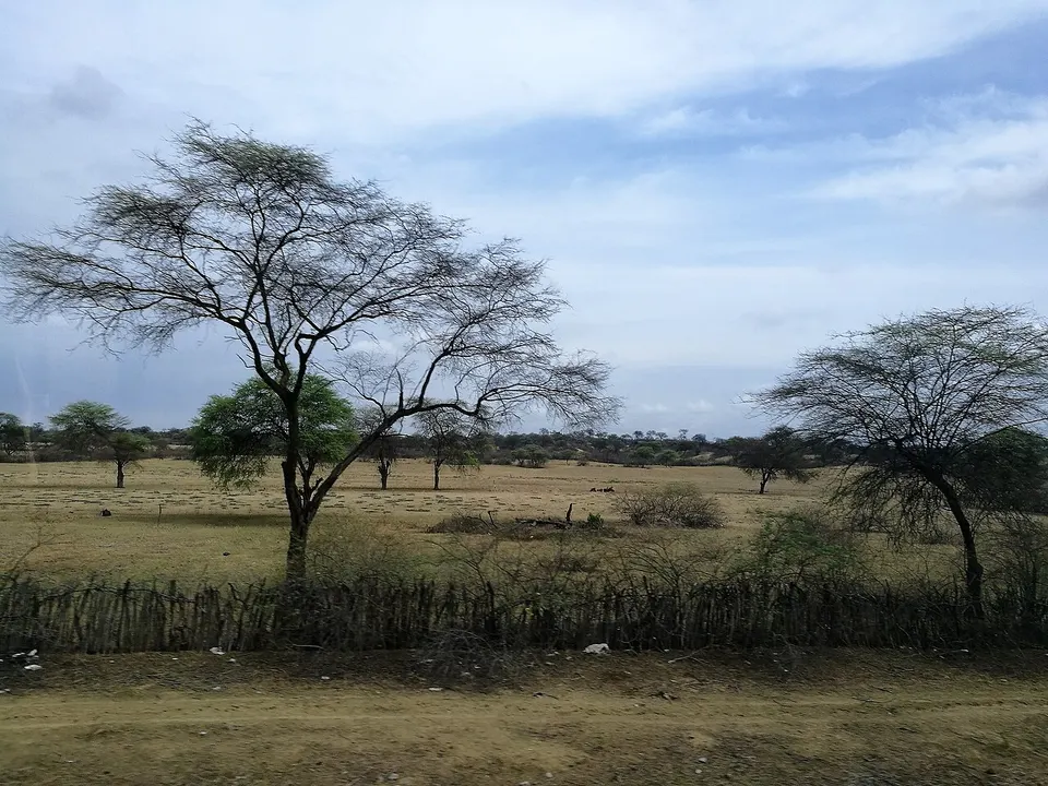 Població del desert al districte de Tambo Grande des de la Panamericana Norte03 — Piura, Peru