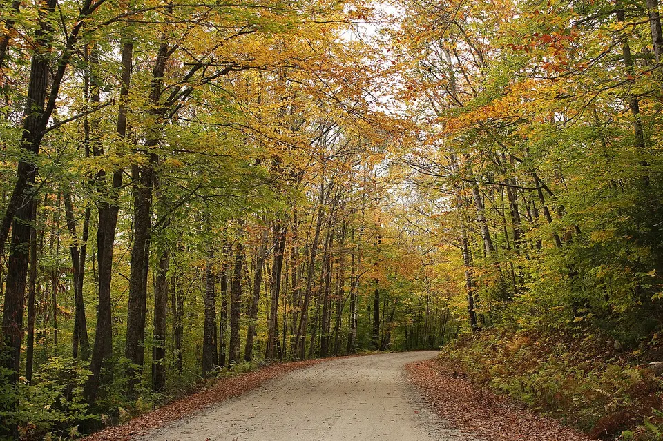 Tripoli Rd, Thornton (494198) (11918793856) — New Hampshire, United States
