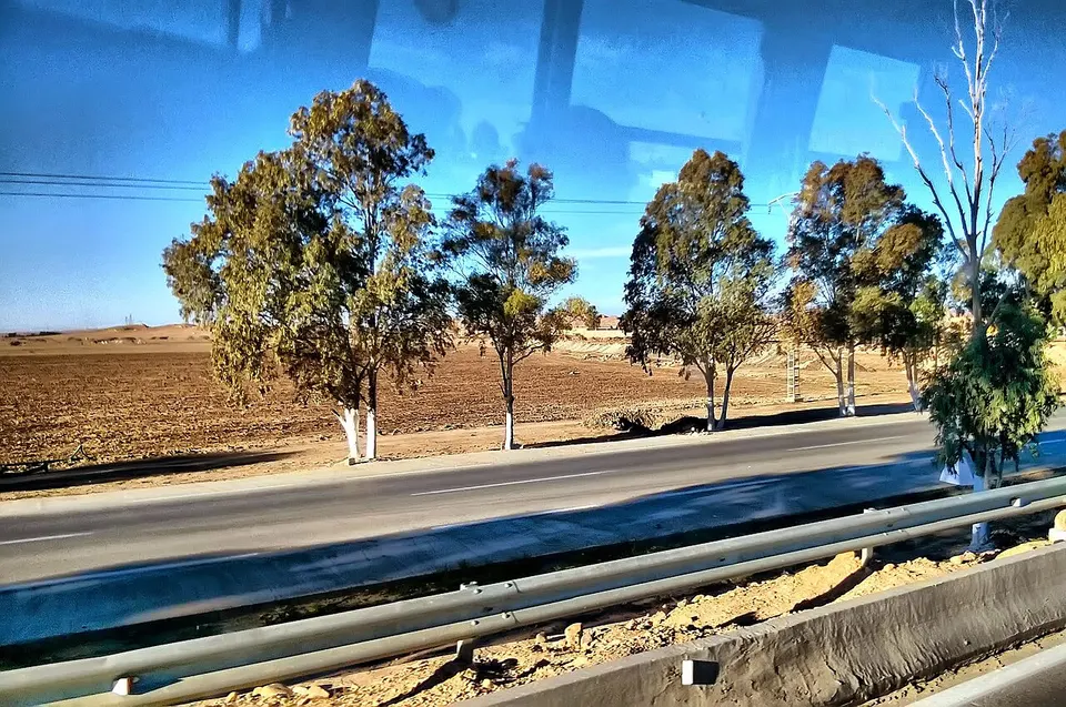 حي الصادقية، الأغواط، Algeria - panoramio — Laghouat, Algeria
