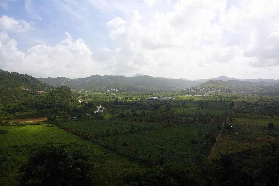 Lush Roseau Valley — Anse la Raya, Saint Lucia
