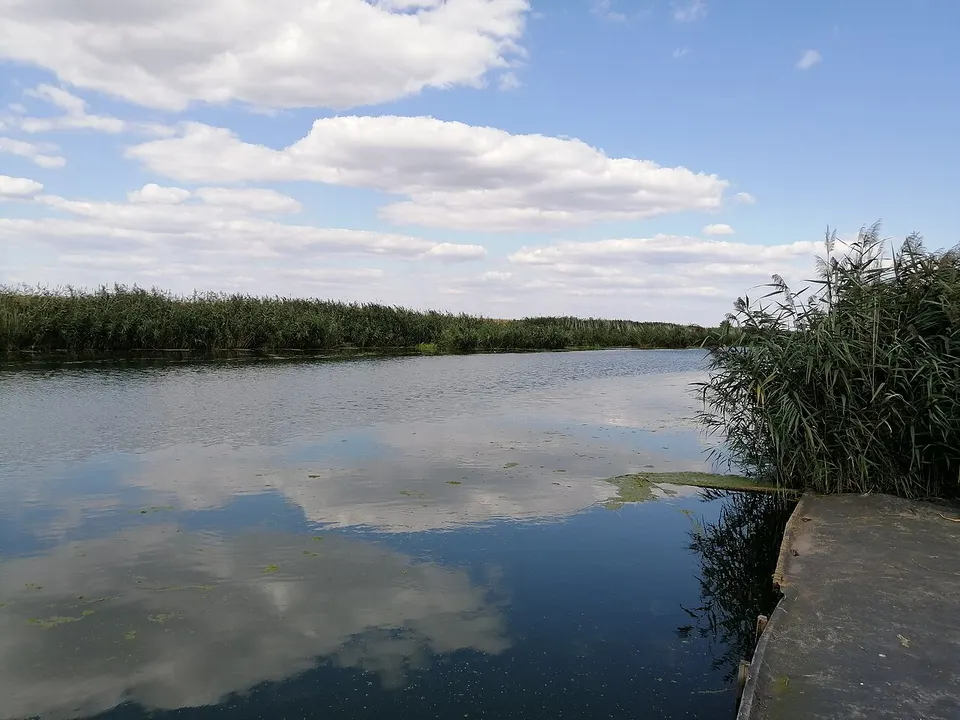 Bega River (Begej) between Žitište and Klek, Serbia — Central Banat District, Serbia
