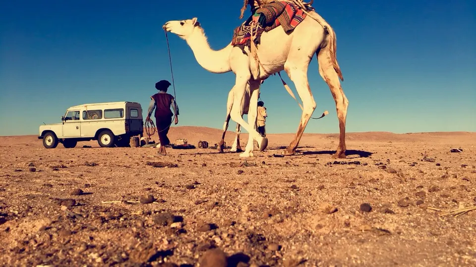 Camel with luggage and handler in desert near car, Mauritania — Tiris Zemmour, Mauritania